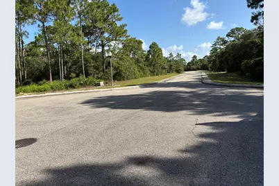 134 Spoonbill Ct, Carrabelle, FL 32323 - Photo 3