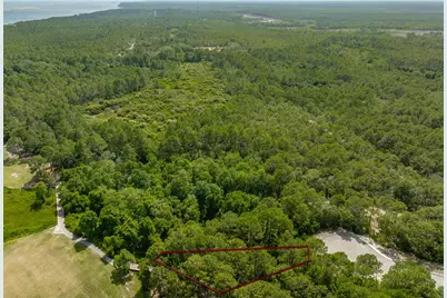 134 Spoonbill Ct, Carrabelle, FL 32323 - Photo 1