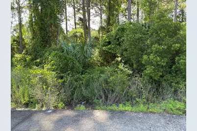 134 Spoonbill Ct, Carrabelle, FL 32323 - Photo 9