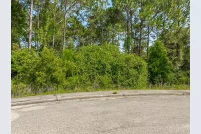 134 Spoonbill Ct, Carrabelle, FL 32323 - Photo 5