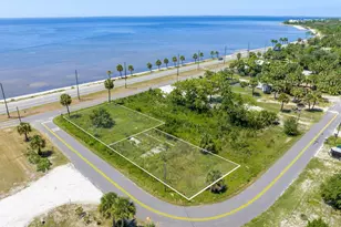2411 Victoria Ave, Port Saint Joe, FL 32456 - Photo 1