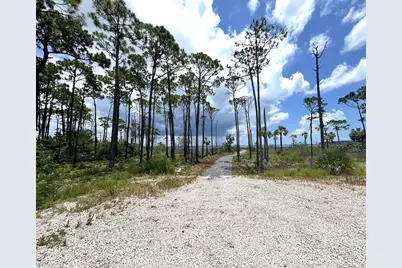 4244 Cape San Blas Rd, Cape San Blas, FL 32456 - Photo 3