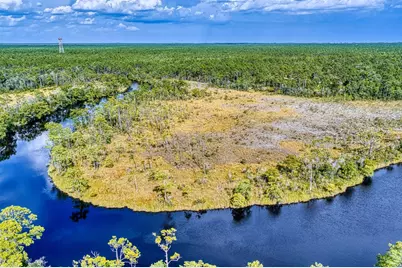 2039 River Bend Plantation Rd #13, Carrabelle, FL 32322 - Photo 13