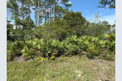 741 W Bay Shore Dr, Saint George Island, FL 32328 - Photo 11