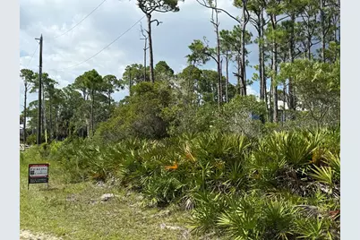 741 W Bay Shore Dr, Saint George Island, FL 32328 - Photo 3