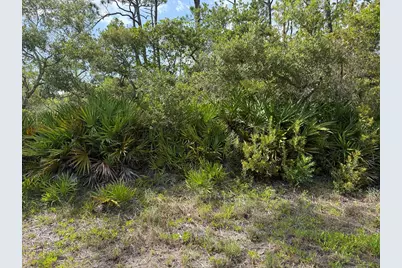 741 W Bay Shore Dr, Saint George Island, FL 32328 - Photo 5