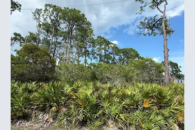 741 W Bay Shore Dr, Saint George Island, FL 32328 - Photo 9