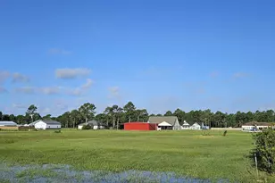 000 Norris Dr, Port Saint Joe, FL 32456 - Photo 1