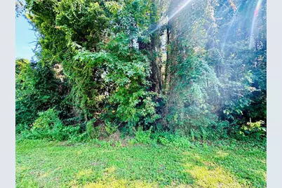 218 Highway 98, Eastpoint, FL 32328 - Photo 3