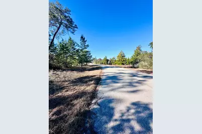 228 Lake Pristine Cir, Carrabelle, FL 32322 - Photo 3