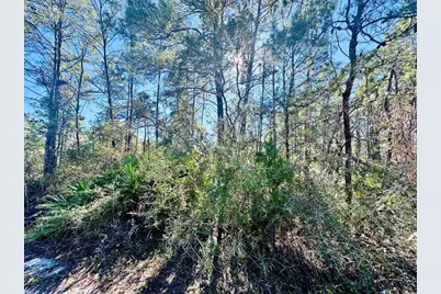 264 River Rd, Carrabelle, FL 32322 - Photo 3