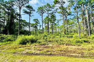 247 Twin Lakes Rd, Eastpoint, FL 32328 - Photo 1