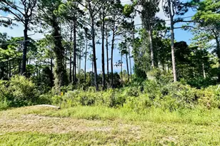 253 Twin Lakes Rd, Eastpoint, FL 32328 - Photo 1