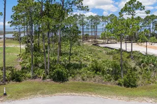Tbd Heron Bay Ln, Port Saint Joe, FL 32456 - Photo 1