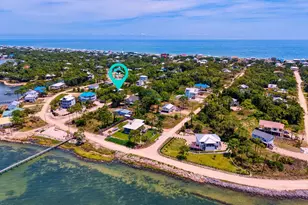 331 Bradford St, Saint George Island, FL 32328 - Photo 67