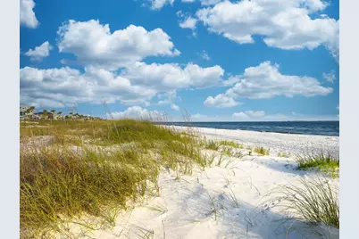 402 Texas Dr, Mexico Beach, FL 32456 - Photo 43