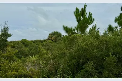 2278 Sailfish Dr, Saint George Island, FL 32328 - Photo 13