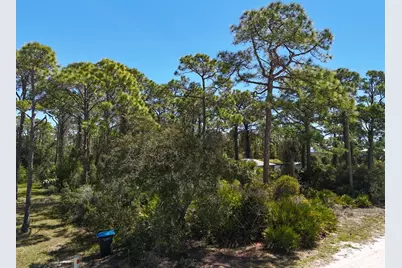 305 Palmer St, Saint George Island, FL 32328 - Photo 7