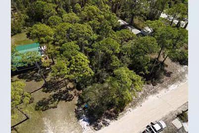 305 Palmer St, Saint George Island, FL 32328 - Photo 5