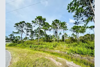 642 Ridge Rd, Eastpoint, FL 32328 - Photo 5