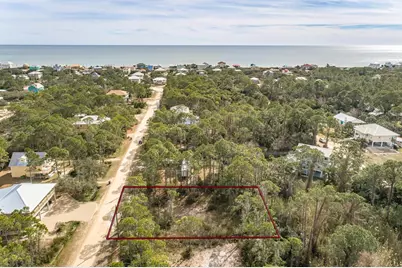 316 Nedley St, Saint George Island, FL 32328 - Photo 1
