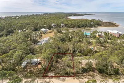 316 Nedley St, Saint George Island, FL 32328 - Photo 3