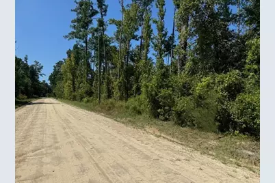 Lot 1-3 Johnson St, Wewahitchka, FL 32465 - Photo 5