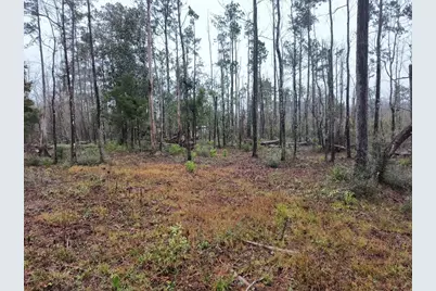 Lot 1-3 Johnson St, Wewahitchka, FL 32465 - Photo 3