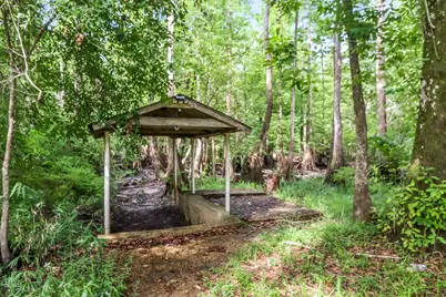174 Audubon Ln, Wewahitchka, FL 32465 - Photo 9