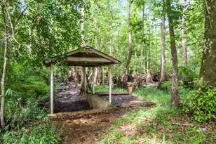 174 Audubon Ln, Wewahitchka, FL 32465 - Photo 9
