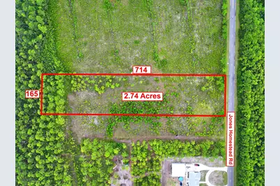 195 Jones Homestead Rd, Port Saint Joe, FL 32456 - Photo 3