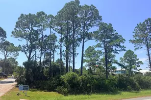 111 Pluto Way, Port Saint Joe, FL 32456 - Photo 1