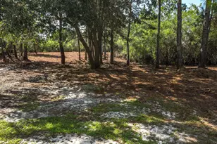 1846 Beacon St, Carrabelle, FL 32322 - Photo 39