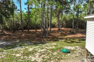 1846 Beacon St, Carrabelle, FL 32322 - Photo 7
