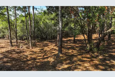 1846 Beacon St, Carrabelle, FL 32322 - Photo 41