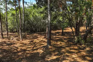 1846 Beacon St, Carrabelle, FL 32322 - Photo 41