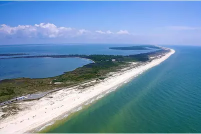 2059 Turpentine Trl, Saint George Island, FL 32328 - Photo 67