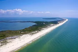 2059 Turpentine Trail, Saint George Island, FL 32328 - Photo 67