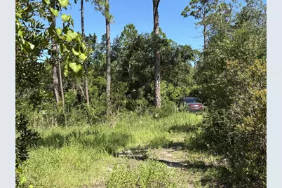 213 N Bay Shore Dr, Eastpoint, FL 32328 - Photo 23