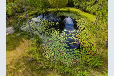 214 Frank McKamey Way, Carrabelle, FL 32322 - Photo 11