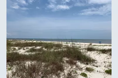 6757 Hwy 71, Wewahitchka, FL 32465 - Photo 33