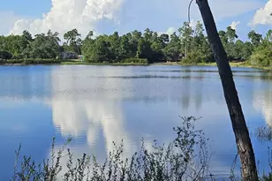 178 Lake Pristine Cir, Carrabelle, FL 32322 - Photo 1
