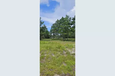 178 Lake Pristine Cir, Carrabelle, FL 32322 - Photo 5