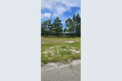 178 Lake Pristine Cir, Carrabelle, FL 32322 - Photo 7