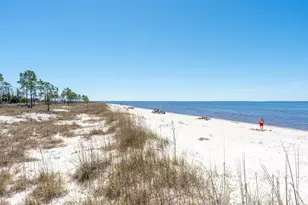 170 Heron Ct, Port Saint Joe, FL 32456 - Photo 49