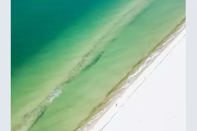 Lot 5 Haven Rd, Cape San Blas, FL 32456 - Photo 3