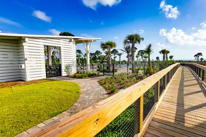 366 Sea Grove Way, Port Saint Joe, FL 32456 - Photo 121