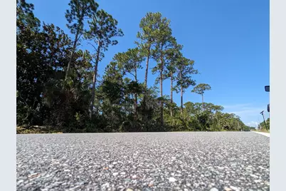 10790 Cr 30-A, Port Saint Joe, FL 32456 - Photo 7