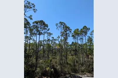 10806 Cr 30-A, Port Saint Joe, FL 32456 - Photo 11