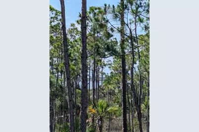 10806 Cr 30-A, Port Saint Joe, FL 32456 - Photo 7